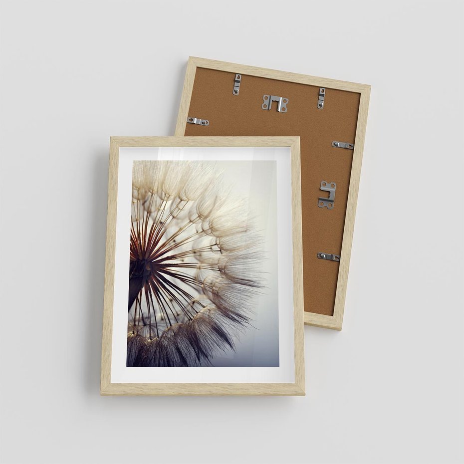 Plakat w ramie 30x40 - Makro piękno dmuchawca - makro, dmuchawiec - rama drewno