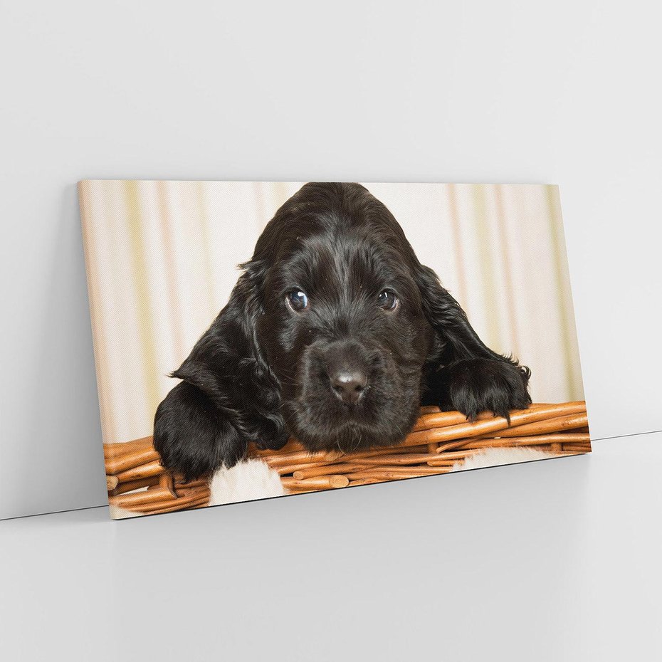 Obraz na płótnie 140x70 - Uroczy szczeniak w akcji - piesek, szczeniak