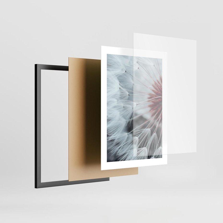 Plakat w ramie 30x40 - Makro Magii Natury - dmuchawiec, zbliżenie makro - rama czarna