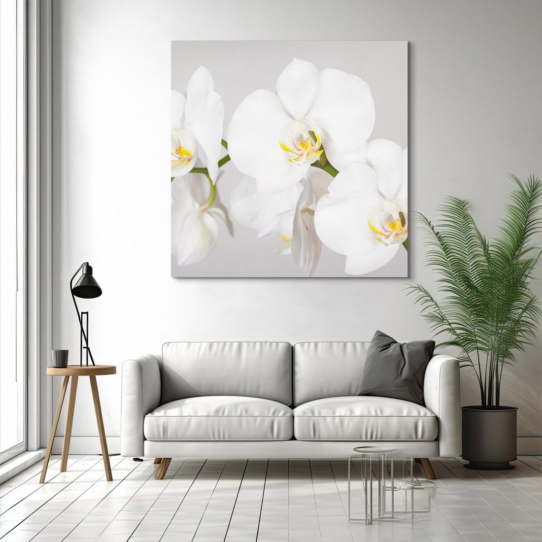 Obraz na płótnie 50x50 - kwiatowy urok - orchidea, kwiat