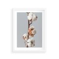 Plakat w ramie 30x40 - Bawełniana boho miękkość - bawełna, boho - rama biała