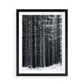 Plakat w ramie 50x70 - Leśna Cisza: Malowniczy Pejzaż Zimą - las zimą, ośnieżone pnie drzew - rama czarna