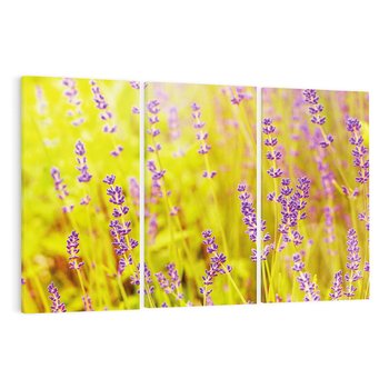 Obraz na płótnie 120x80 - Delikatność natury - lawenda, kwiaty