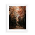 Plakat w ramie 50x70 - Drzewa w Czerwonych Liściach - las, jesienny las - rama biała