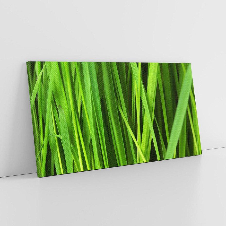 Obraz na płótnie 100x50 - Trawa w abstrakcji: natura przekształcona - trawa, abstrakcja