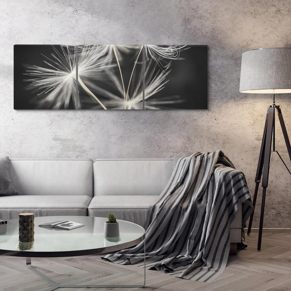 Obraz na płótnie 90x30 - Delikatność dmuchawców zbliżenie - dmuchawce, zbliżenie