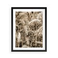 Plakat w ramie 40x50 - Zbliżenie na Kłosy Zboża - zboża, kłosy zboża - rama czarna