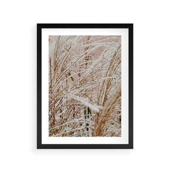 Plakat w ramie 40x50 - Beżowa Trawa - suche trawy, zbliżenie - rama czarna