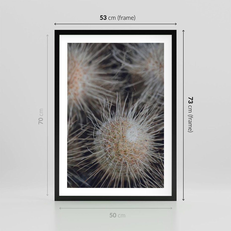 Plakat w ramie 50x70 - Ulotna Piękność Natury - makro, dmuchawce - rama czarna