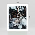 Plakat bez ramy 40x50 - W Zimowej Krainie - renifer, zima