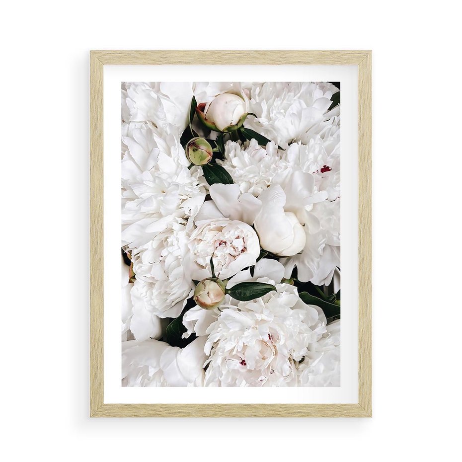 Plakat w ramie 50x70 - Modne Białe Kwiaty - białe kwiaty, płatki - rama drewno