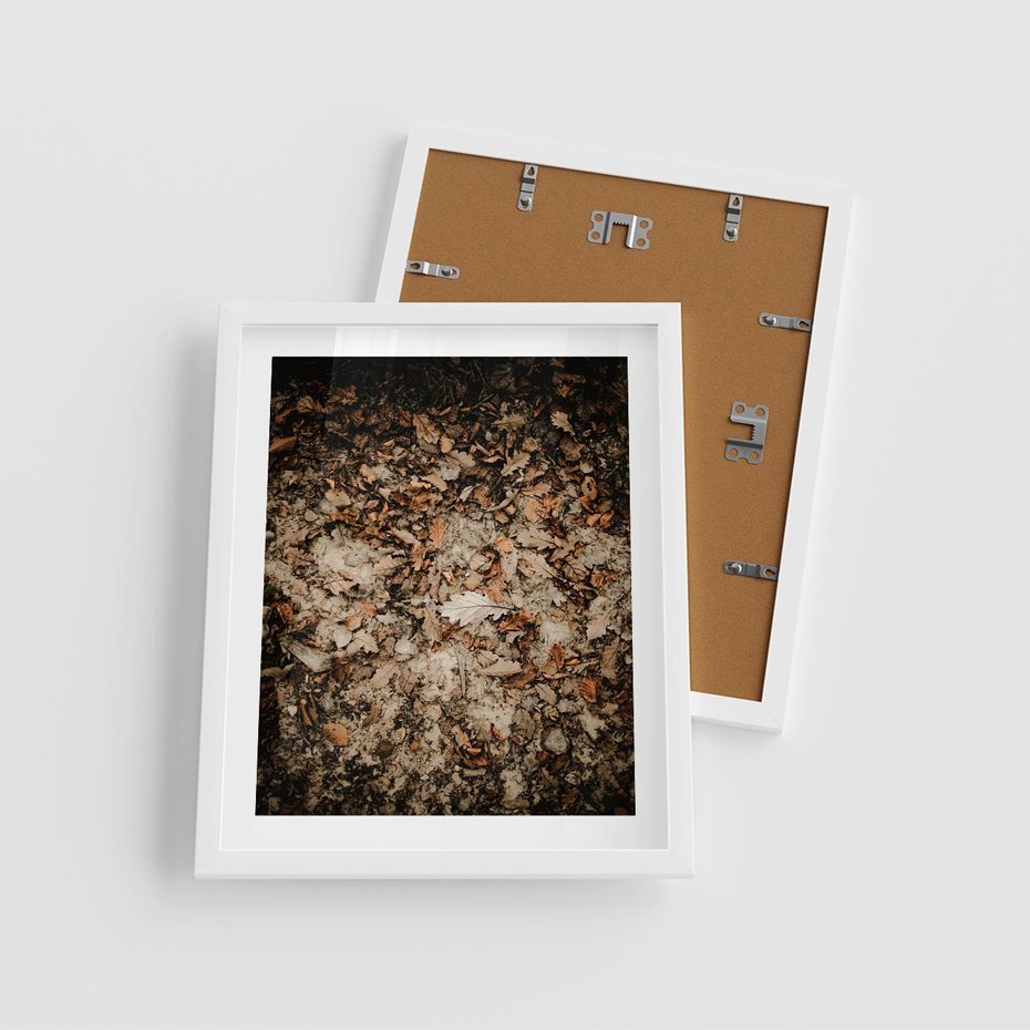 Plakat w ramie 40x50 - Suchość Liści w Brązowych Tonach - suche liście jesień brąz - rama biała