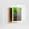Plakat w ramie 40x50 - Lasowa ścieżka pełna tajemnic - ścieżka, schody - rama biała