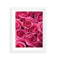 Plakat w ramie 40x50 - Romantyczne róże w pełnym rozkwicie - róże, kwiaty - rama biała
