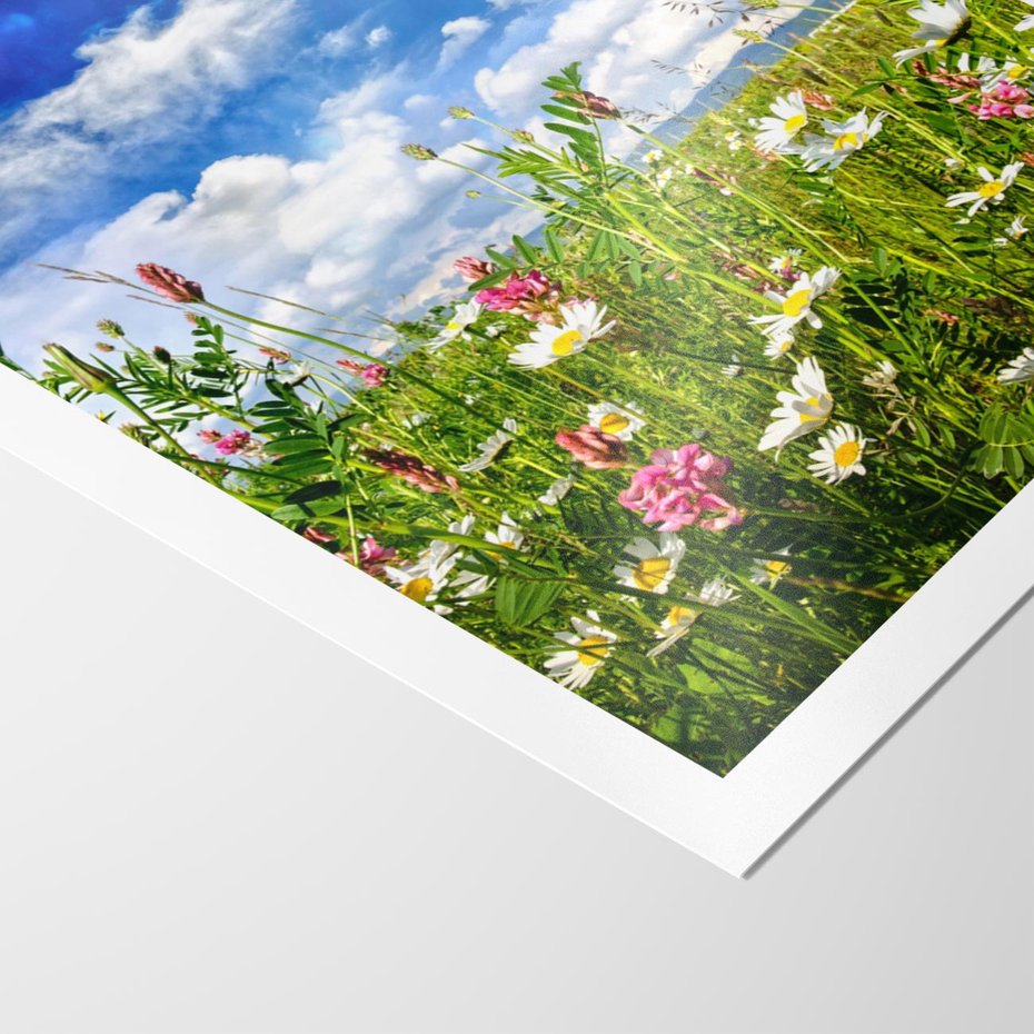 Plakat bez ramy 40x50 - Niebiańska łąka pełna kwiatów - łąka, niebo