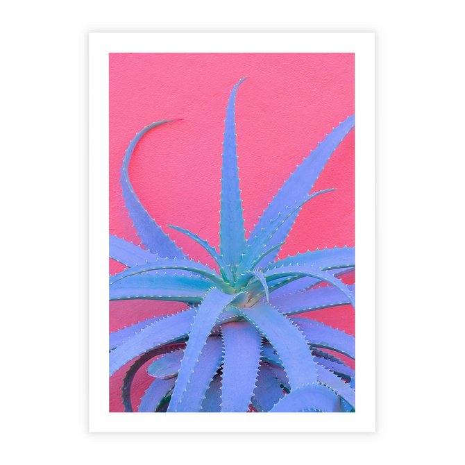 Plakat bez ramy 21x30 - Piękno Pustyni - kaktusy, liście