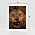 Plakat bez ramy 30x40 - Władca Sawanny - lew, sawanna