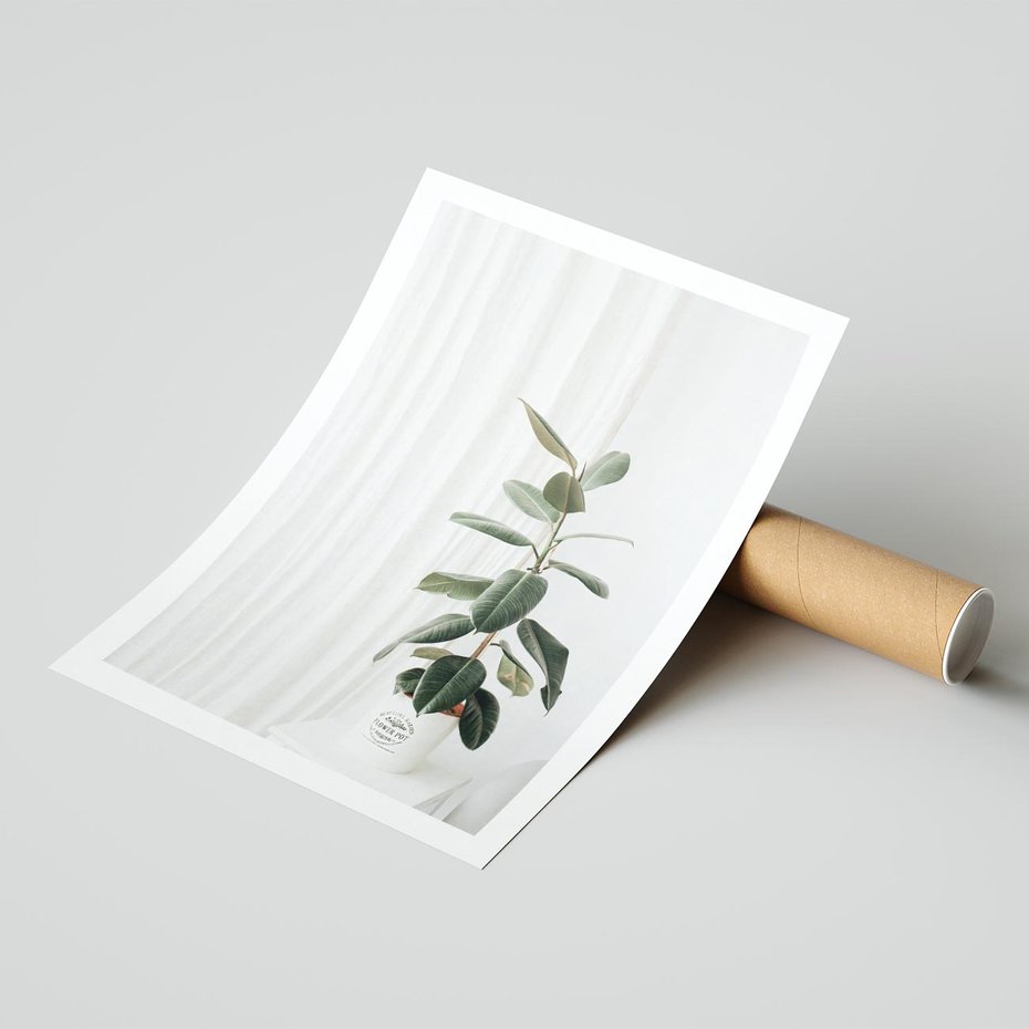 Plakat bez ramy 30x40 - Kwiat w Bieli - kwiat w doniczce, białe wnętrze