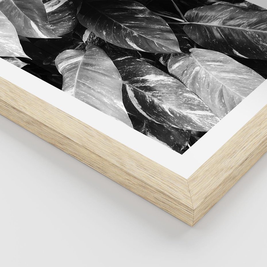 Plakat w ramie 30x40 - Liście w Czarno-Białej Fotografii - liście, roślina - rama drewno