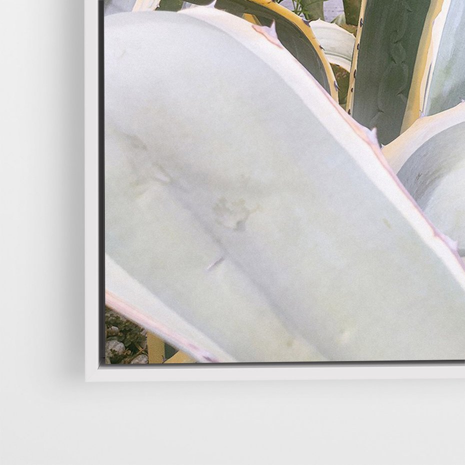 Obraz w ramie 50x70 - Sukulentowe liście - liście, sukulenty - rama biała