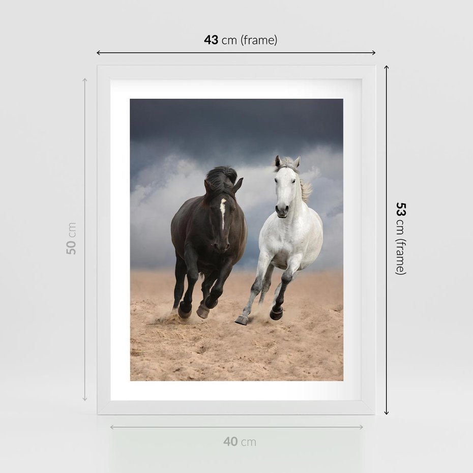Plakat w ramie 40x50 - Siła koni w galopie - konie, galop - rama biała