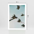 Plakat bez ramy 21x30 - Palmy i Niebo - palmy, ujęcie z dołu