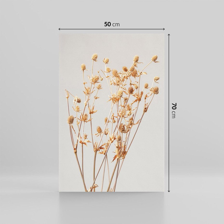 Obraz na płótnie 50x70 - Delikatne gipsówki - gipsówka, suche