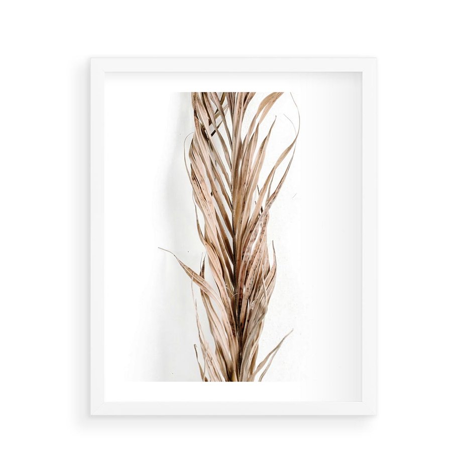 Plakat w ramie 40x50 - Minimalizm Palmowy: Sucha Uroda - sucha palma, minimalizm - rama biała
