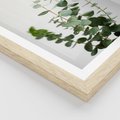Plakat w ramie 30x40 - Żywa eukaliptusowa zieleń - eukaliptus, zielone - rama drewno