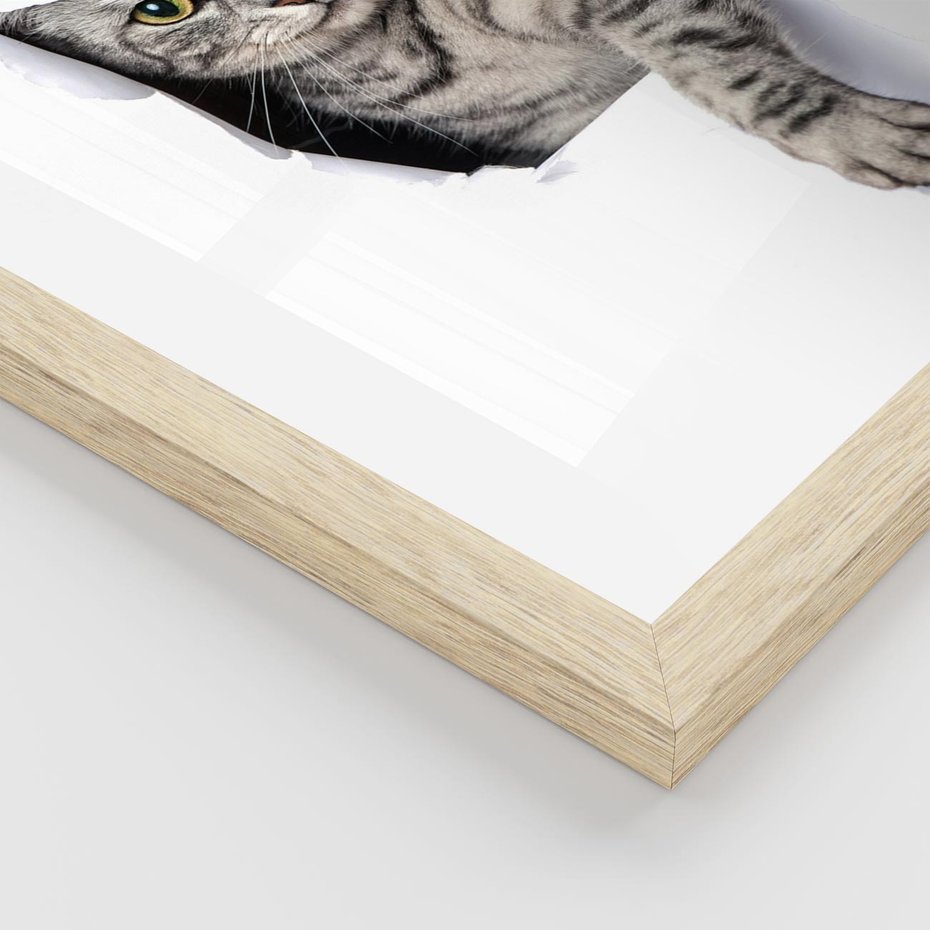 Plakat w ramie 30x40 - Tajemniczy kot i jego świat - kot, dziura - rama drewno