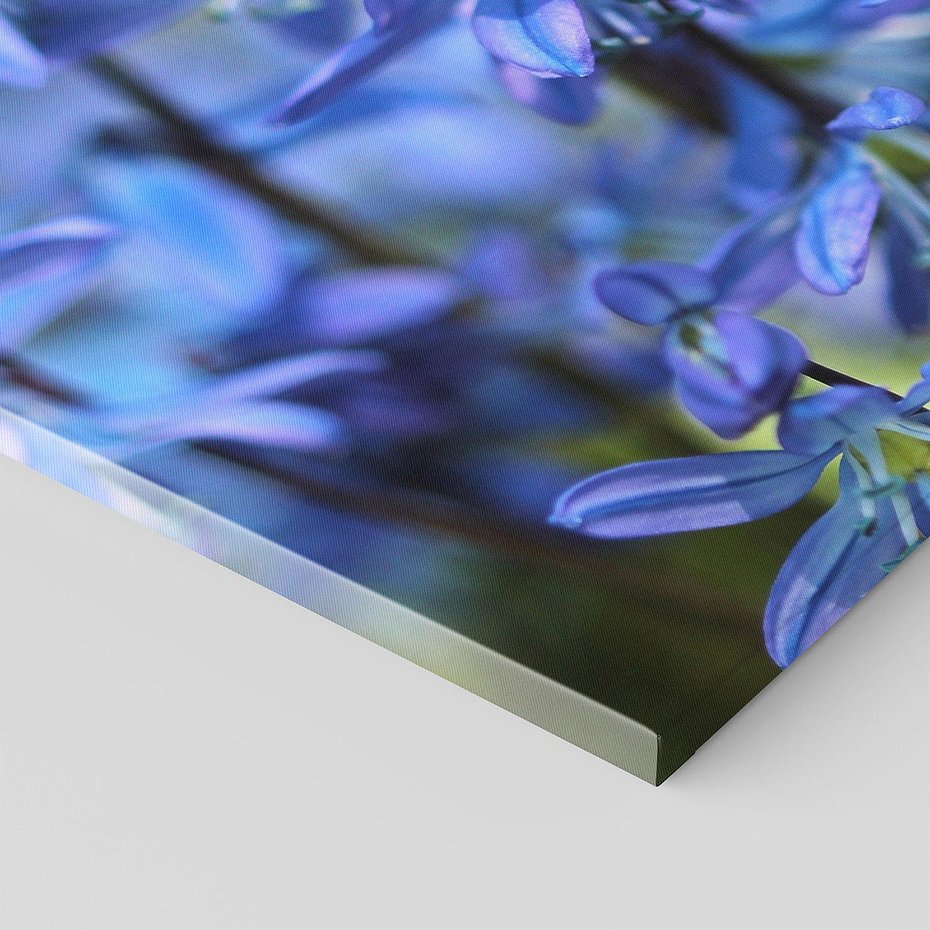 Obraz na płótnie 100x50 - Kwiatowa symfonia natury - kwiat, kwiaty