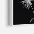 Obraz w ramie 50x50 - Delikatność Wiatru - dmuchawce, makro - rama biała