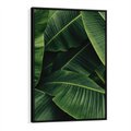Obraz w ramie 70x100 - Zaklęta roślinna ekspresja - liście bananowca, gęsto ułożone - rama czarna