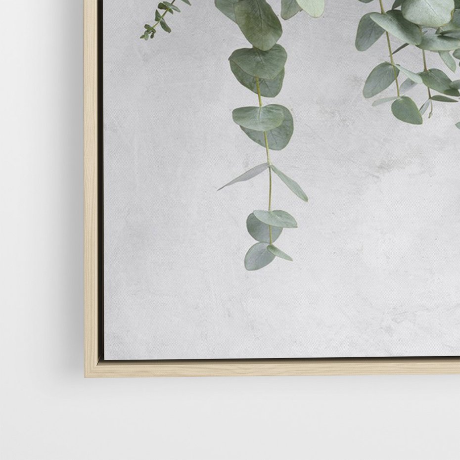 Obraz w ramie 80x120 - Uwodzicielska zieleń eukaliptusa - eukaliptus, zielone - rama drewno