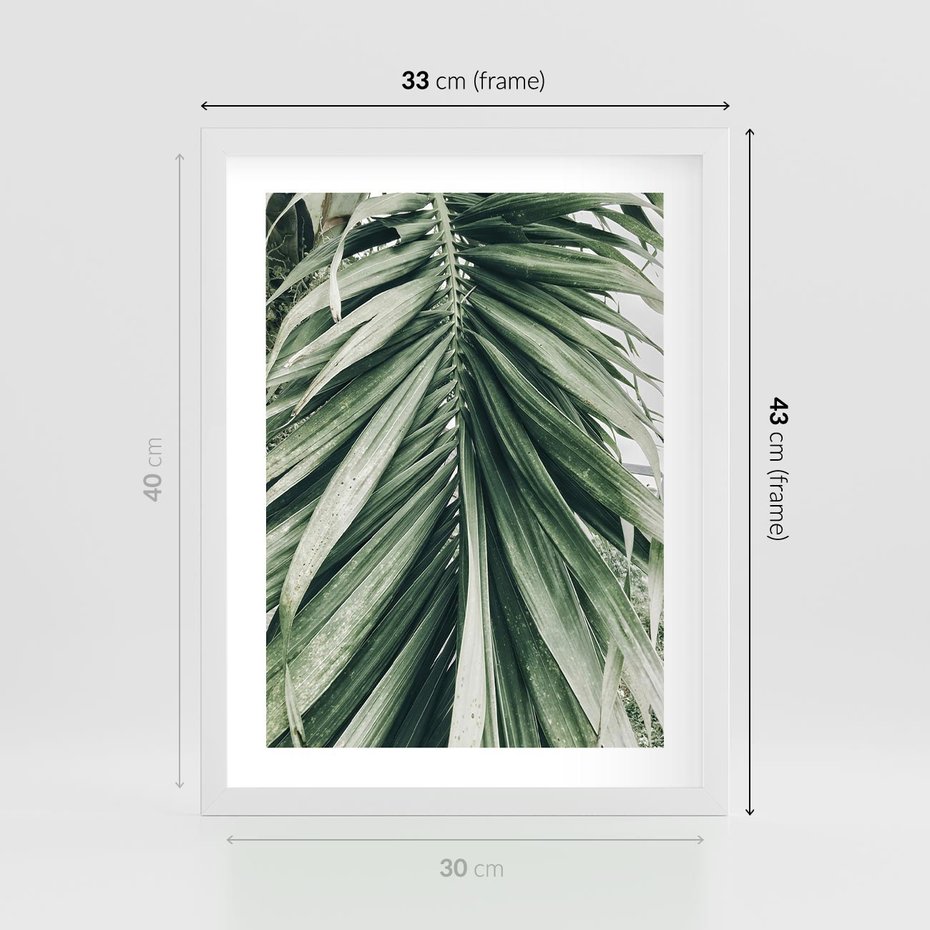 Plakat w ramie 30x40 - Spokojna Piękność Palmowych Liści - palma, liście palmy - rama biała