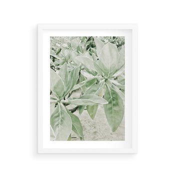 Plakat w ramie 50x70 - Jasnozielone Liście w Kompozycji - liście, jasna zieleń - rama biała
