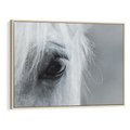 Obraz w ramie 100x70 - Oko Mocy - czarno białe zdjęcie, zbliżenie makro na oko konia - rama drewno