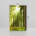 Obraz na płótnie 70x100 - Spokój wśród drzew: las w odcieniach zieleni - las, drzewa