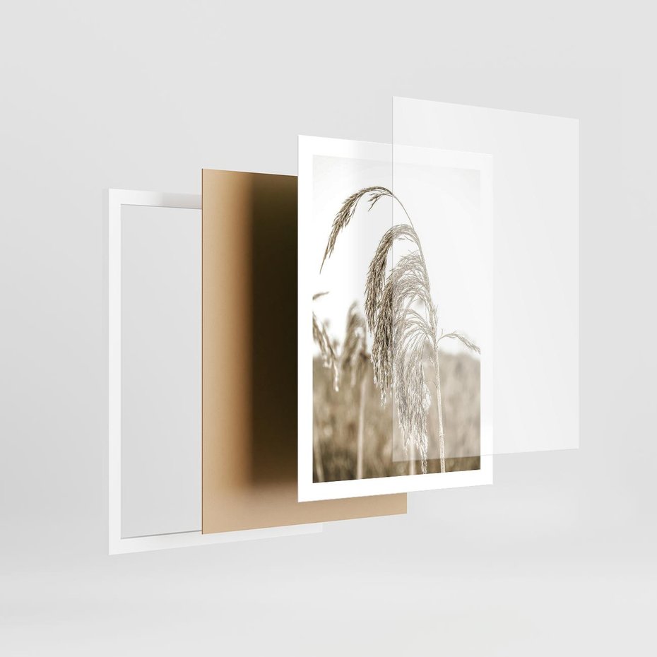 Plakat w ramie 50x70 - Ujęcie Suchych Traw - suche trawy, zbliżenie - rama biała