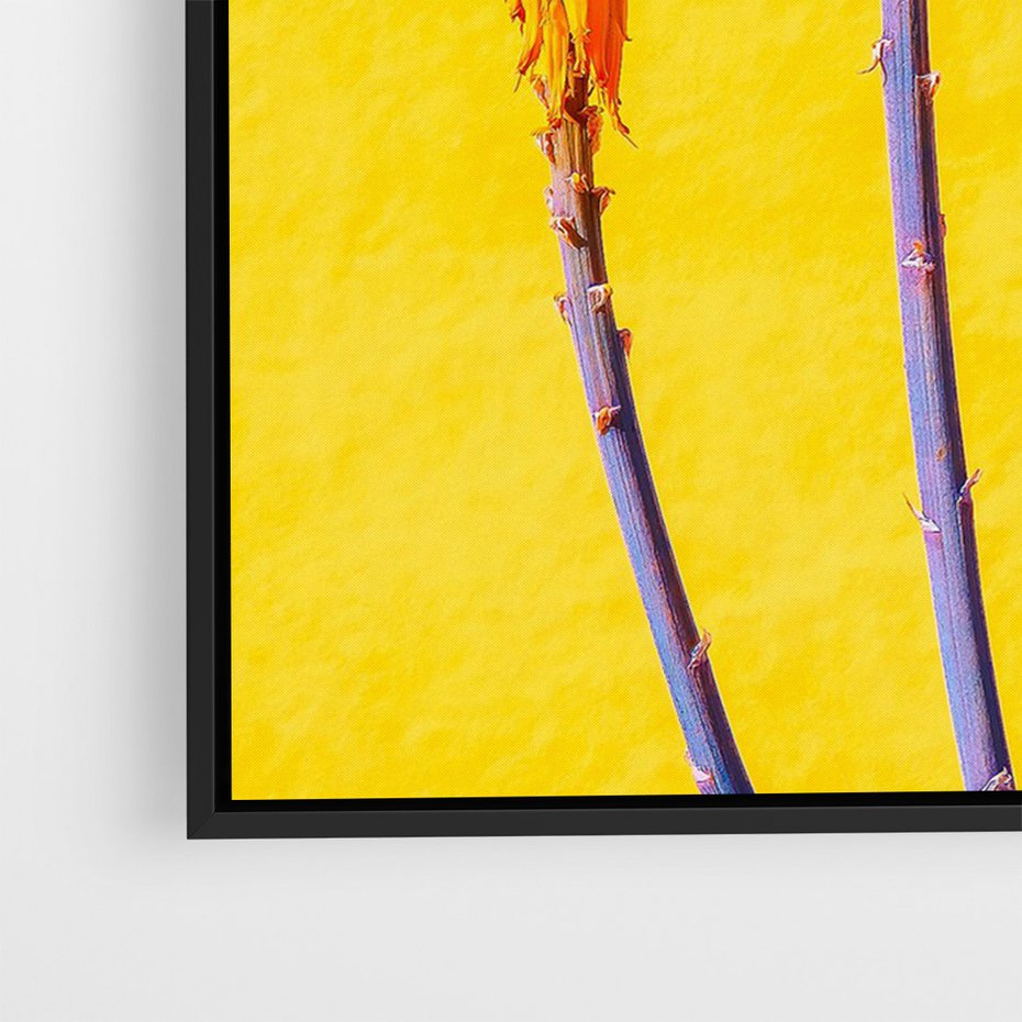 Obraz w ramie 50x70 - Radość Natury - kolor, kwiaty - rama czarna