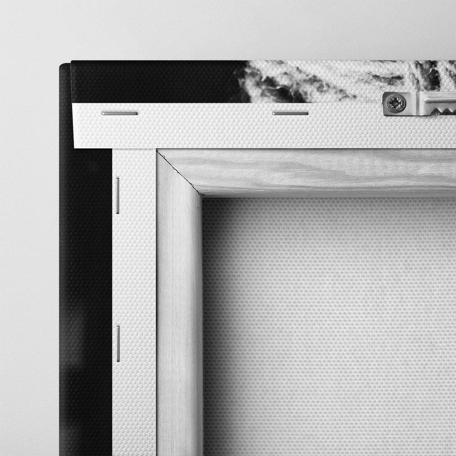 Obraz na płótnie 50x70 - Splątane Uczucia - czarno biała fotografia, artystyczna