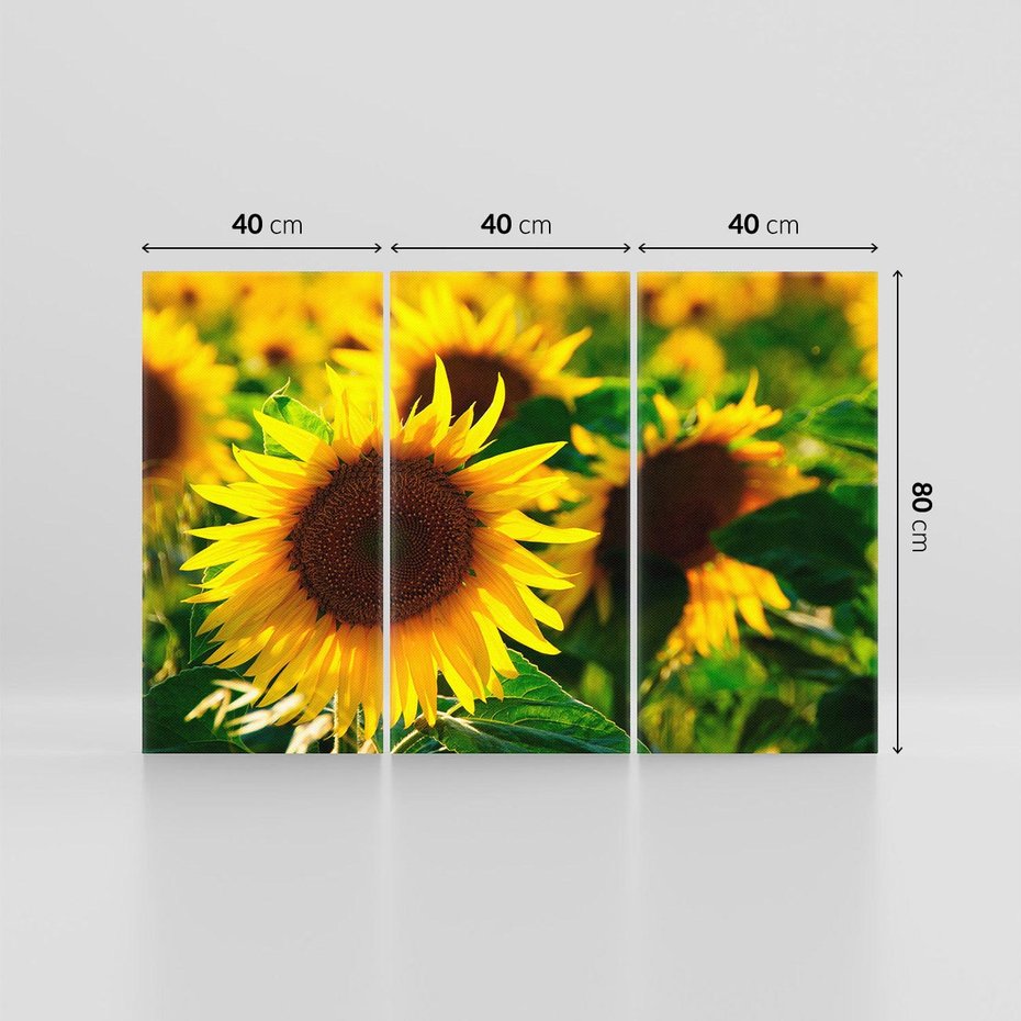 Obraz na płótnie 120x80 - Słonecznikowa Energia - słonecznik, kwiat
