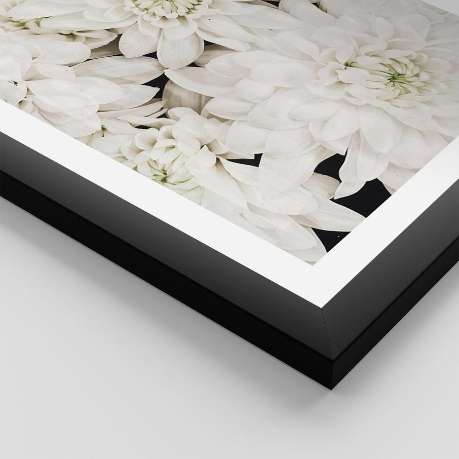 Plakat w ramie 30x40 - Białe Kwiaty: Płatki Delikatności - białe kwiaty, zbliżenie - rama czarna