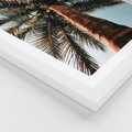 Plakat w ramie 40x50 - Rajskie Inspiracje: Palma na Niebie - palma, na tle nieba - rama biała