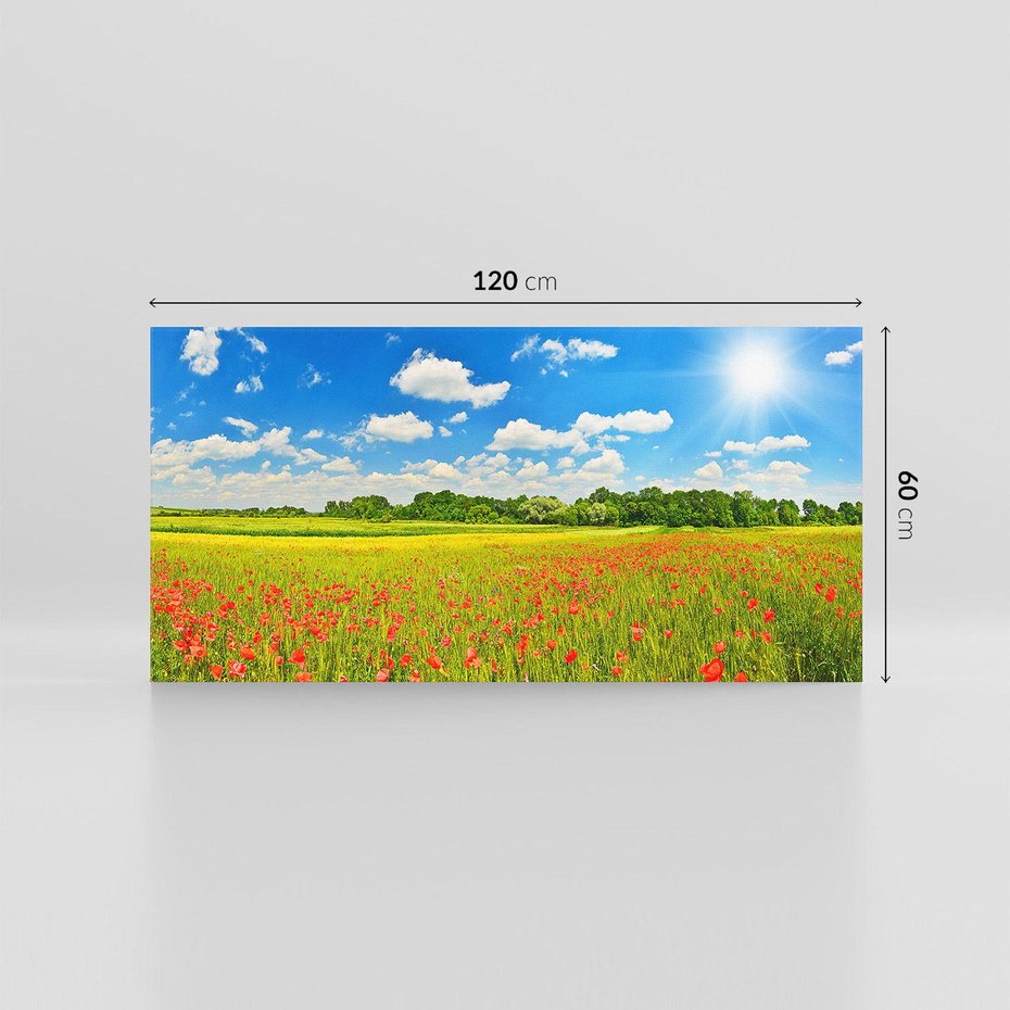 Obraz na płótnie 120x60 - Malownicze maki na łące - maki, łąka