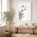 Plakat bez ramy 40x50 - Delikatny Urok - lawenda, kwiaty
