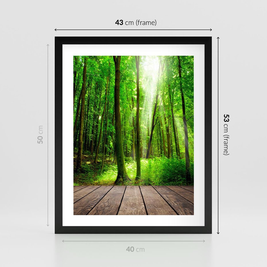 Plakat w ramie 40x50 - Spacer po urokliwej dróżce w lesie - las, dróżka - rama czarna