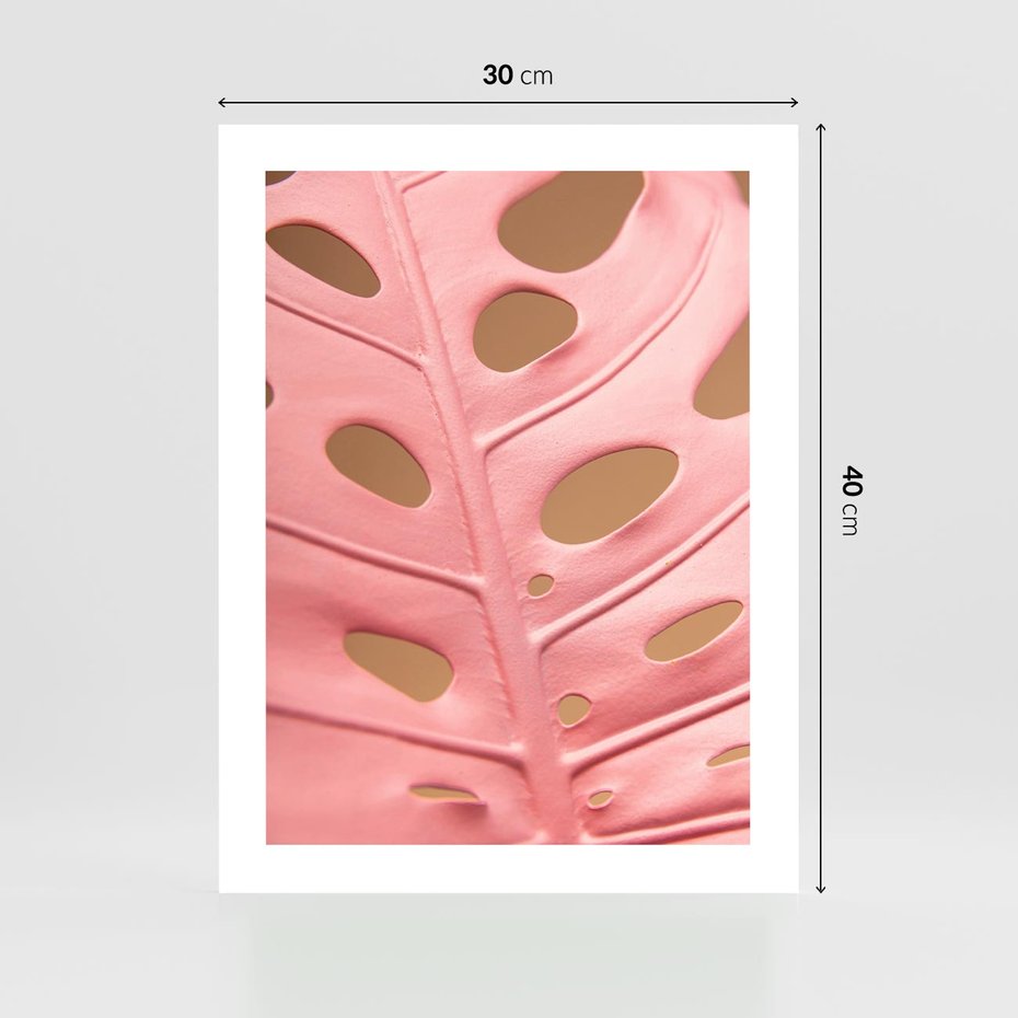 Plakat bez ramy 30x40 - Różowy Liść Monstery - różowy liść monstery, nowoczesna fotografia