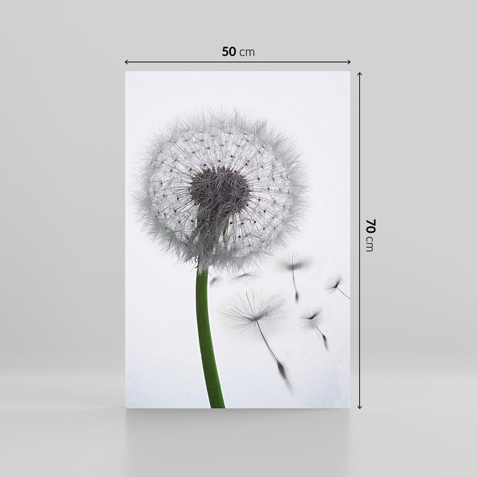 Obraz na płótnie 50x70 - Lekkość Przemijania - dmuchawiec, makro