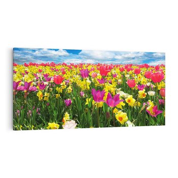 Obraz na płótnie 140x70 - tulipany na łące - kwiaty, tulipany